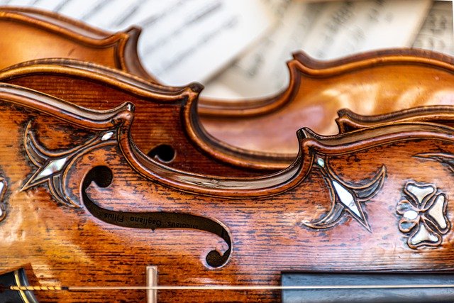 Free download violin viola vintage violins free picture to be edited with GIMP free online image editor