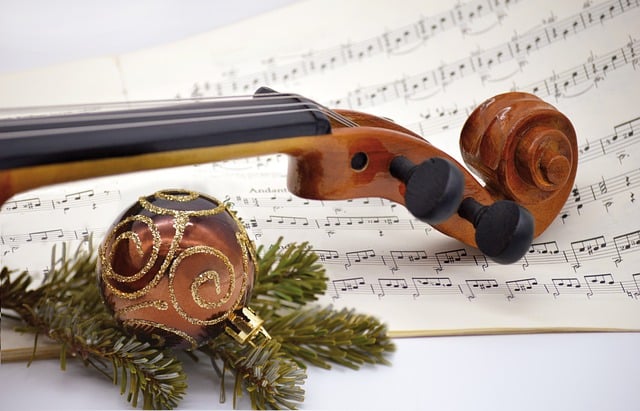 Free download violin violin concert free picture to be edited with GIMP free online image editor