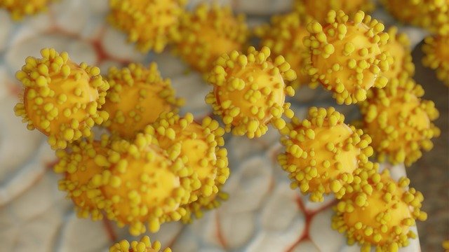 Téléchargement gratuit du virus coronavirus microbe maladie image gratuite à éditer avec l'éditeur d'images en ligne gratuit GIMP