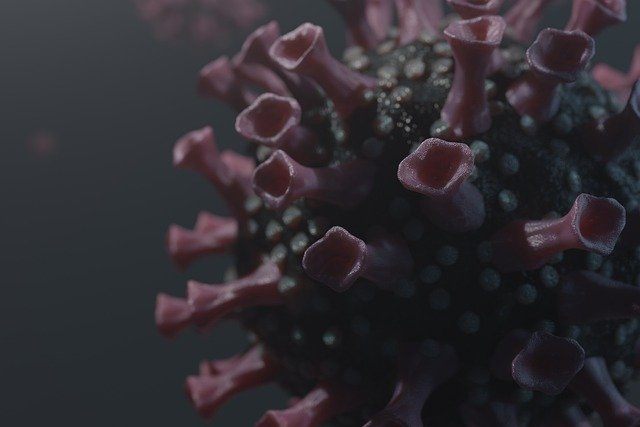 Free download virus pathogen bacteria coronavirus free picture to be edited with GIMP free online image editor