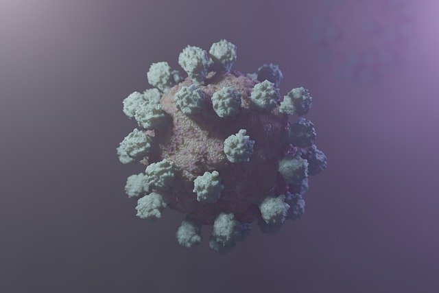 Free download virus pathogen coronavirus pandemic free picture to be edited with GIMP free online image editor