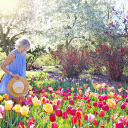 Visit spring garden  screen for extension Chrome web store in OffiDocs Chromium