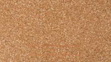 Free download Visual BUDU free photo or picture to be edited with GIMP online image editor