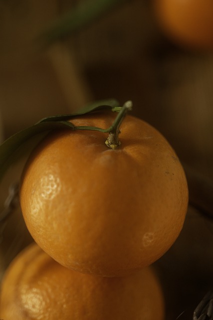Free download vitamin sour orange fruit citrus free picture to be edited with GIMP free online image editor