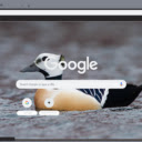 Vit bien  screen for extension Chrome web store in OffiDocs Chromium