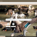 Vit troi  screen for extension Chrome web store in OffiDocs Chromium