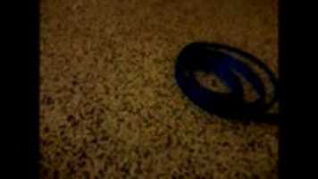 Free download vlcsnap-2014-05-10-20h55m27s198 free photo or picture to be edited with GIMP online image editor