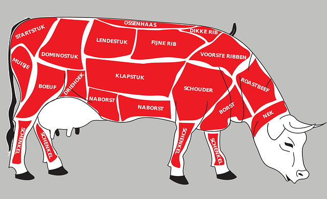 Free download Vleesnamen Spare Parts Cow - Free vector graphic on Pixabay free illustration to be edited with GIMP free online image editor