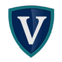 Voicenotes Privacy Tool  screen for extension Chrome web store in OffiDocs Chromium