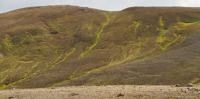 Free download volcanic rock moss pioneer plants free picture to be edited with GIMP free online image editor