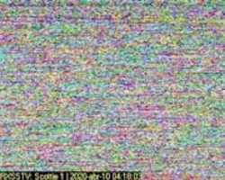 Free download Voz 005 20200305 free photo or picture to be edited with GIMP online image editor