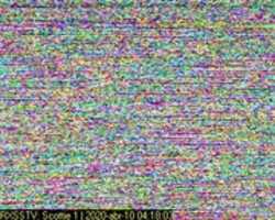 Free download Voz 006 20200306 free photo or picture to be edited with GIMP online image editor