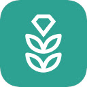 VPN Rice: Fast  Secure Proxy  screen for extension Chrome web store in OffiDocs Chromium