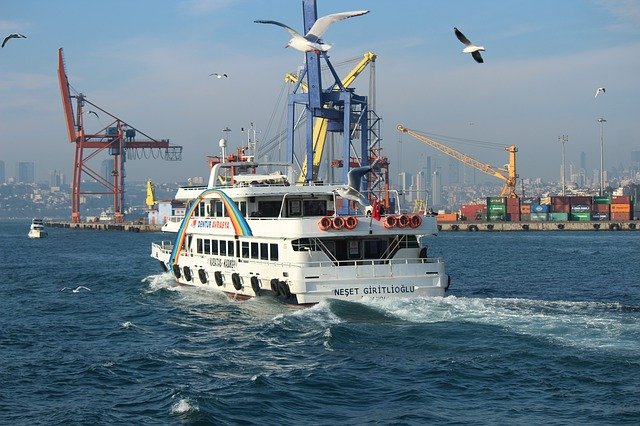 Free download v ship birds seagull seagulls sea free picture to be edited with GIMP free online image editor