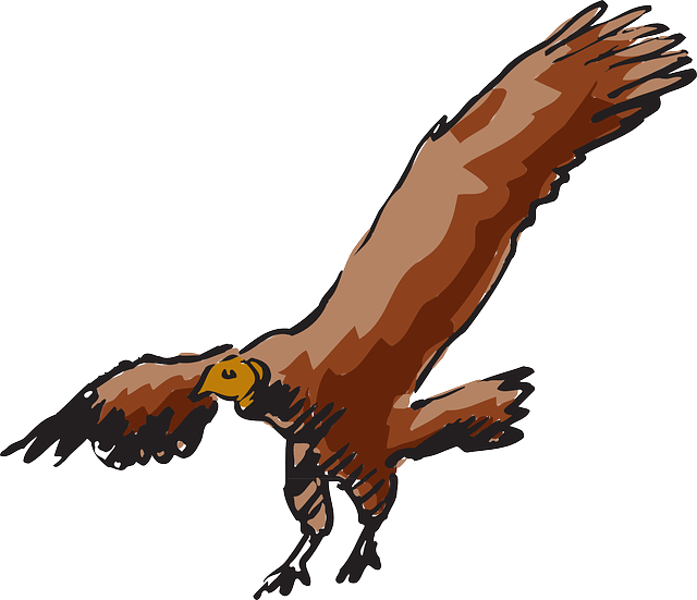 Libreng download Vulture Scavanger Buzzard - Libreng vector graphic sa Pixabay libreng ilustrasyon na ie-edit gamit ang GIMP na libreng online na editor ng imahe