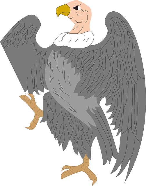 Free download Vulture Scavenger Creature - Free vector graphic on Pixabay free illustration to be edited with GIMP free online image editor