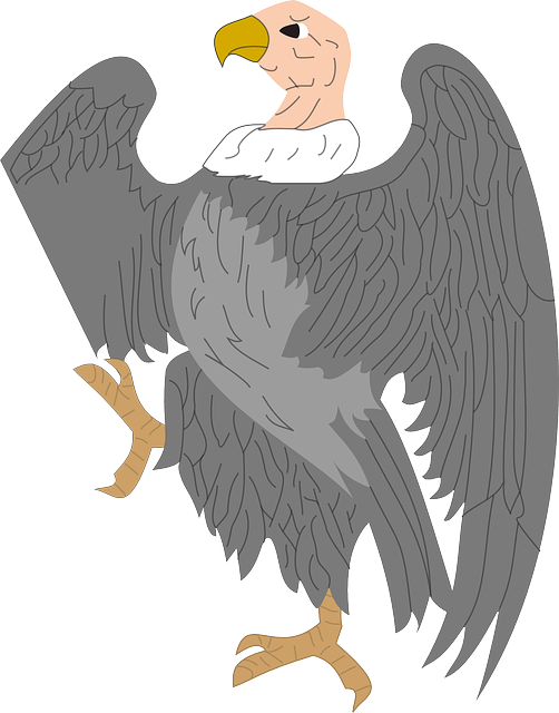 Libreng download Vulture Scavenger Creature - Libreng vector graphic sa Pixabay libreng ilustrasyon na ie-edit gamit ang GIMP na libreng online na editor ng imahe