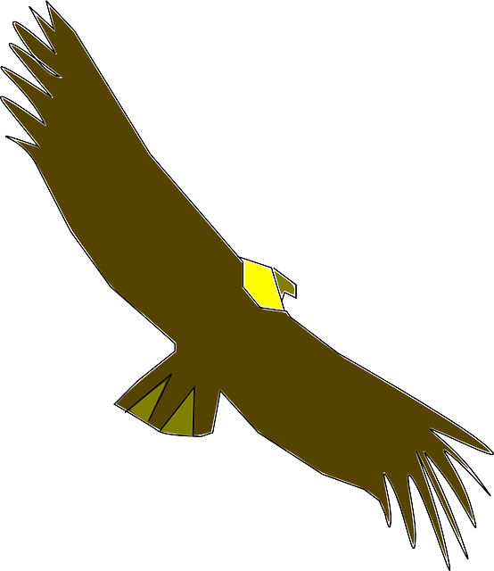 Free download Vulture Scavenger Wildlife - Free vector graphic on Pixabay free illustration to be edited with GIMP free online image editor