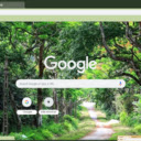 Vuon quoc gia Cuc Phuong  screen for extension Chrome web store in OffiDocs Chromium