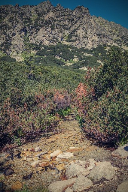 تنزيل Vysoké Tatry Slovakia مجانًا - صورة أو صورة مجانية ليتم تحريرها باستخدام محرر الصور عبر الإنترنت GIMP