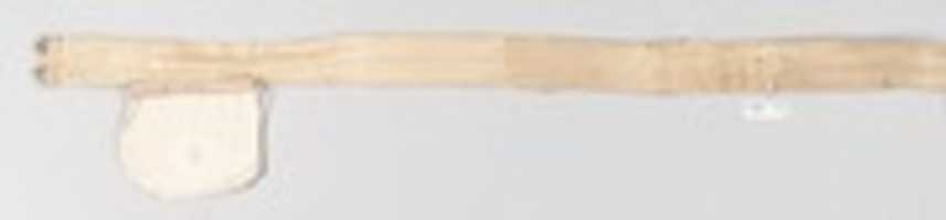 Free download Waistband (?) free photo or picture to be edited with GIMP online image editor