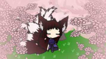 Free download Walfas Props: NenadG free photo or picture to be edited with GIMP online image editor