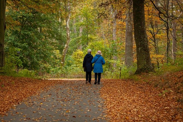 免费下载 Walk Autumn Nature - 可使用 GIMP 在线图像编辑器编辑的免费照片或图片