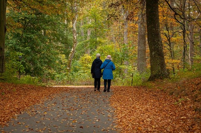 تنزيل Walk Autumn Nature مجانًا - صورة مجانية أو صورة لتحريرها باستخدام محرر الصور عبر الإنترنت GIMP