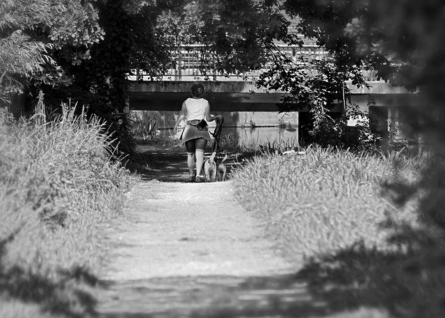تنزيل مجاني Walk Hiking Away - صورة مجانية أو صورة يتم تحريرها باستخدام محرر الصور عبر الإنترنت GIMP