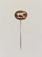 Free download Walking leopard free photo or picture to be edited with GIMP online image editor