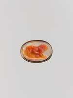 Free download Walking Lion free photo or picture to be edited with GIMP online image editor