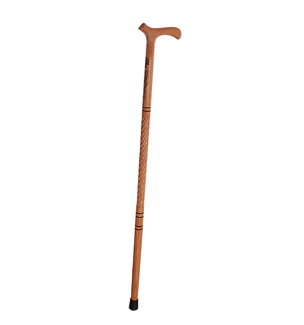 Безкоштовно завантажте Walking Stick Wood - безкоштовне фото або зображення для редагування в онлайн-редакторі зображень GIMP