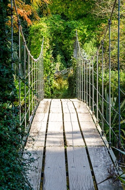 הורדה חינם Walkway Bridge תבנית תמונה בחינם מעץ לעריכה עם עורך התמונות המקוון GIMP