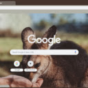 Wallaby  screen for extension Chrome web store in OffiDocs Chromium