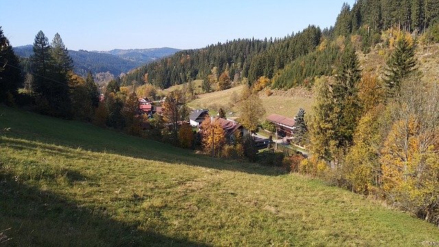 Darmowe pobieranie Wallachia Landscape Forest - darmowe zdjęcie lub obraz do edycji za pomocą internetowego edytora obrazów GIMP