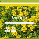 Wallflower Yellow  screen for extension Chrome web store in OffiDocs Chromium