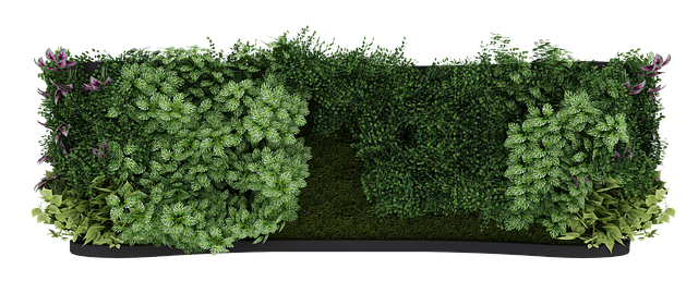 Free download Wall Green Leaves -  free illustration to be edited with GIMP free online image editor