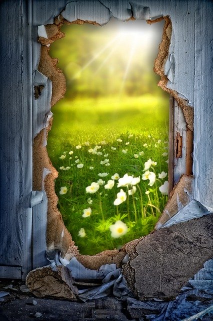 Free download Wall Hole Meadow -  free illustration to be edited with GIMP free online image editor
