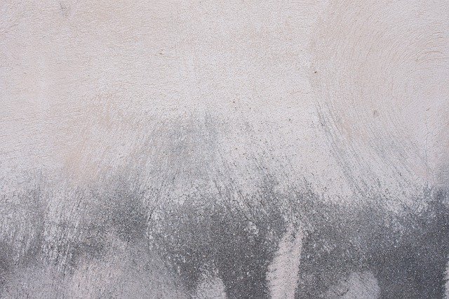 Free download Wall Paint Roughness -  free photo or picture to be edited with GIMP online image editor