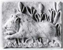 Free download Wall panel with a charging boar free photo or picture to be edited with GIMP online image editor