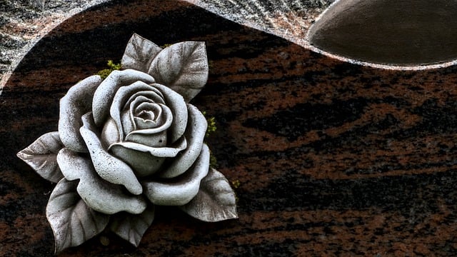 Free download wallpaper hd wallpaper stone flower free picture to be edited with GIMP free online image editor