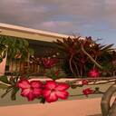 wallpaper of a garden corner and flowers  screen for extension Chrome web store in OffiDocs Chromium