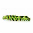 wallpaper of a spotted green caterpillar  screen for extension Chrome web store in OffiDocs Chromium