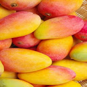 Wallpaper of ripe mangoes  screen for extension Chrome web store in OffiDocs Chromium