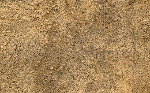 Free download wall plaster texture facade free picture to be edited with GIMP free online image editor
