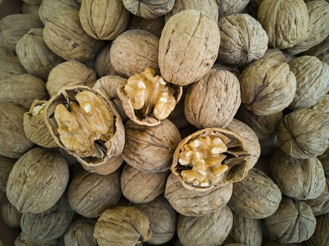 Free picture Walnut Dried Fruits And Nuts -  to be edited by GIMP free image editor by OffiDocs