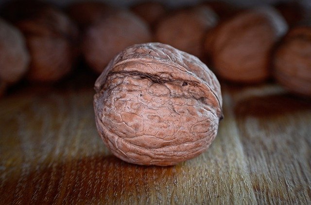 Free download Walnut Healthy Delicious -  free photo or picture to be edited with GIMP online image editor