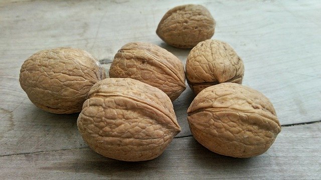 Free download Walnuts Fruit Secca -  free photo or picture to be edited with GIMP online image editor