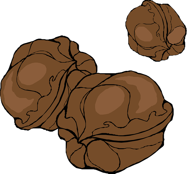 Free download Walnuts Nut Food - Free vector graphic on Pixabay free illustration to be edited with GIMP free online image editor