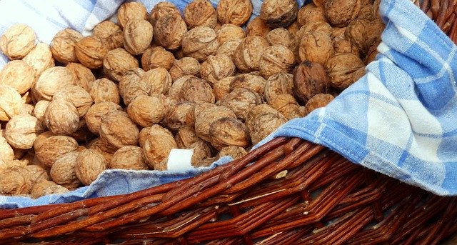 Muat turun percuma Walnuts Nuts Shell - foto atau gambar percuma untuk diedit dengan editor imej dalam talian GIMP